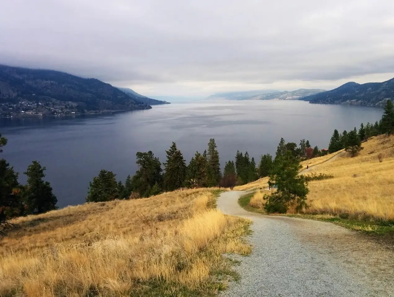 12 Best Coffee Shops in Kelowna You Need to Try!